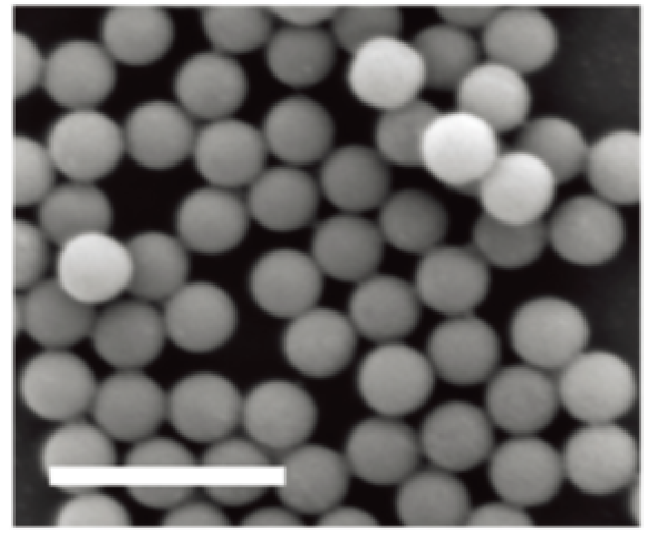 Infrared fluorescent nanospheres
